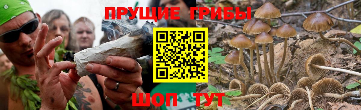 Галлюциногенные грибы Magic Shrooms  Вход с VPN  Темрюк 
